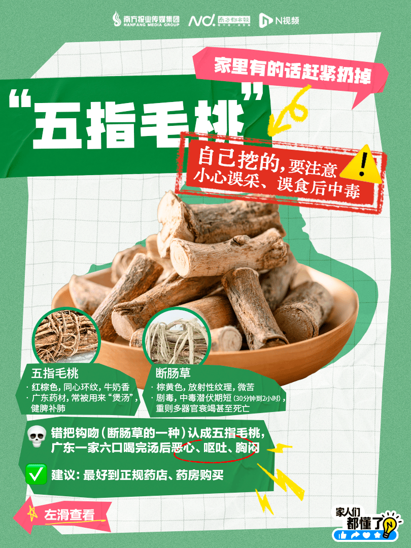 皇冠信用最新地址
_广东紧急提醒:爱吃河粉、陈村粉、粿条、濑粉的皇冠信用最新地址
,特别注意