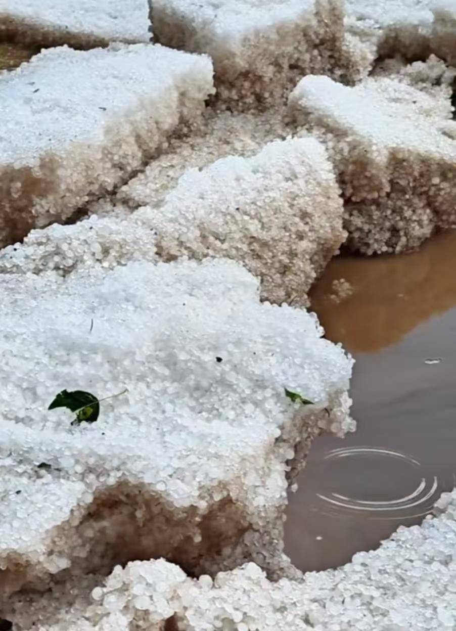 奥雷布洛vs乌米亚
_甘肃夏河县遭遇冰雹袭击:有游客称持续大半个小时奥雷布洛vs乌米亚
,当地人称“十年不遇”