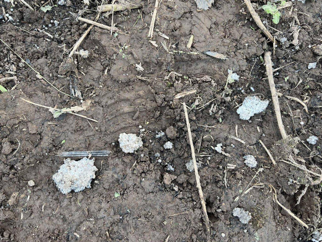 巴勒莫vs弗洛西诺尼_从北约领空发射?台湾省制无人机在乌克兰参战巴勒莫vs弗洛西诺尼,被俄军击落1000架