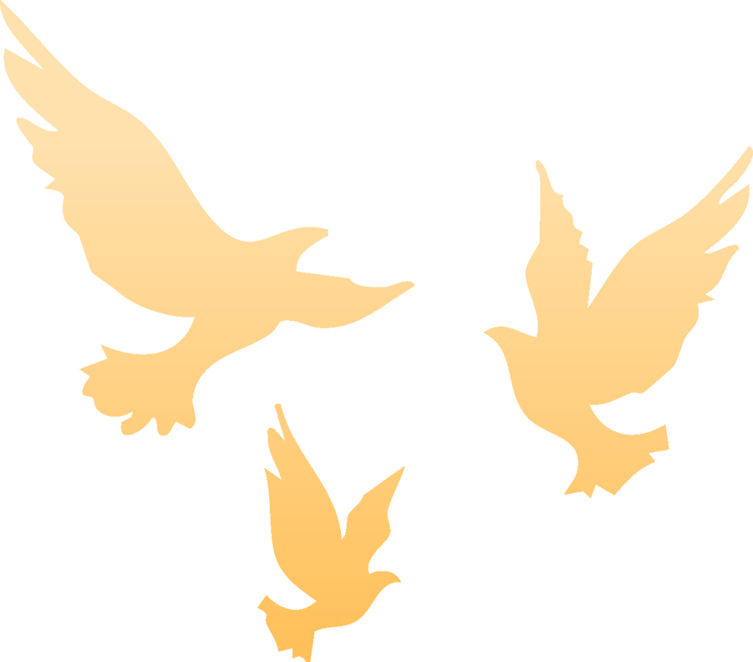 皇冠信用网代理注册_就在明天皇冠信用网代理注册!九三阅兵!这份直播观看攻略与亮点安排请收好