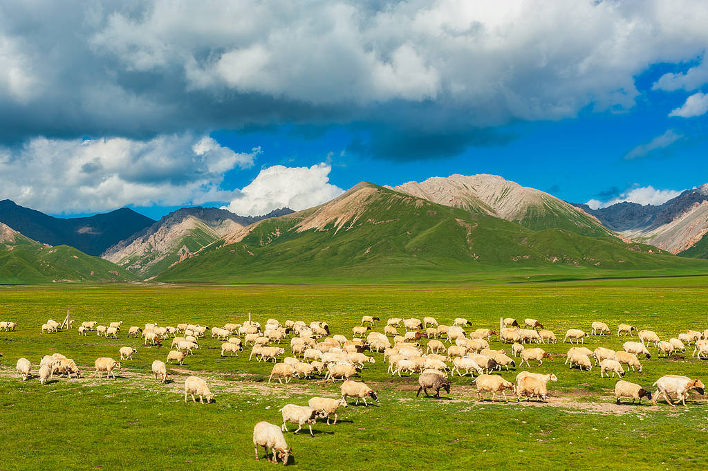 横滨水手 vs 川崎前锋_喜马拉雅山烟花秀风波横滨水手 vs 川崎前锋,审批是否合规才是重点