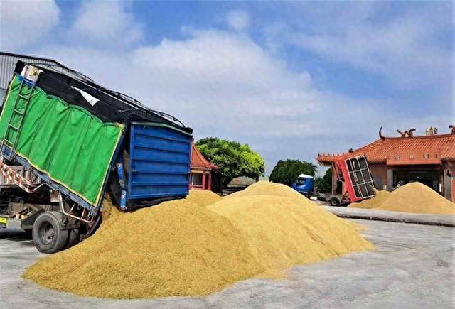 皇冠信用網需要押金吗_阿根廷继续卖中国大豆皇冠信用網需要押金吗,美国放狠话,我使馆回应亮了:美方管不着